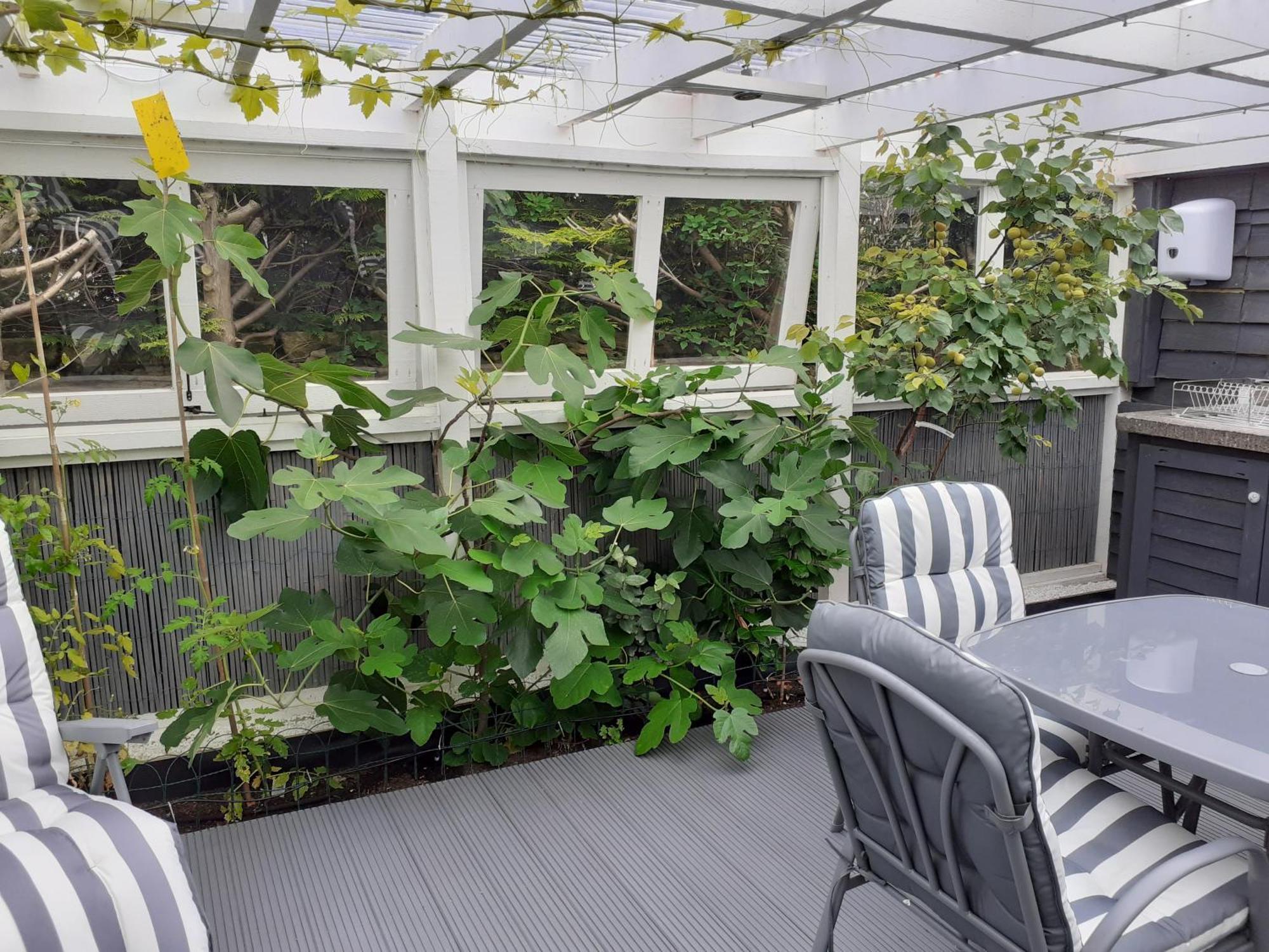 Apartament The Treehouse By Airlie Nairn Zewnętrze zdjęcie