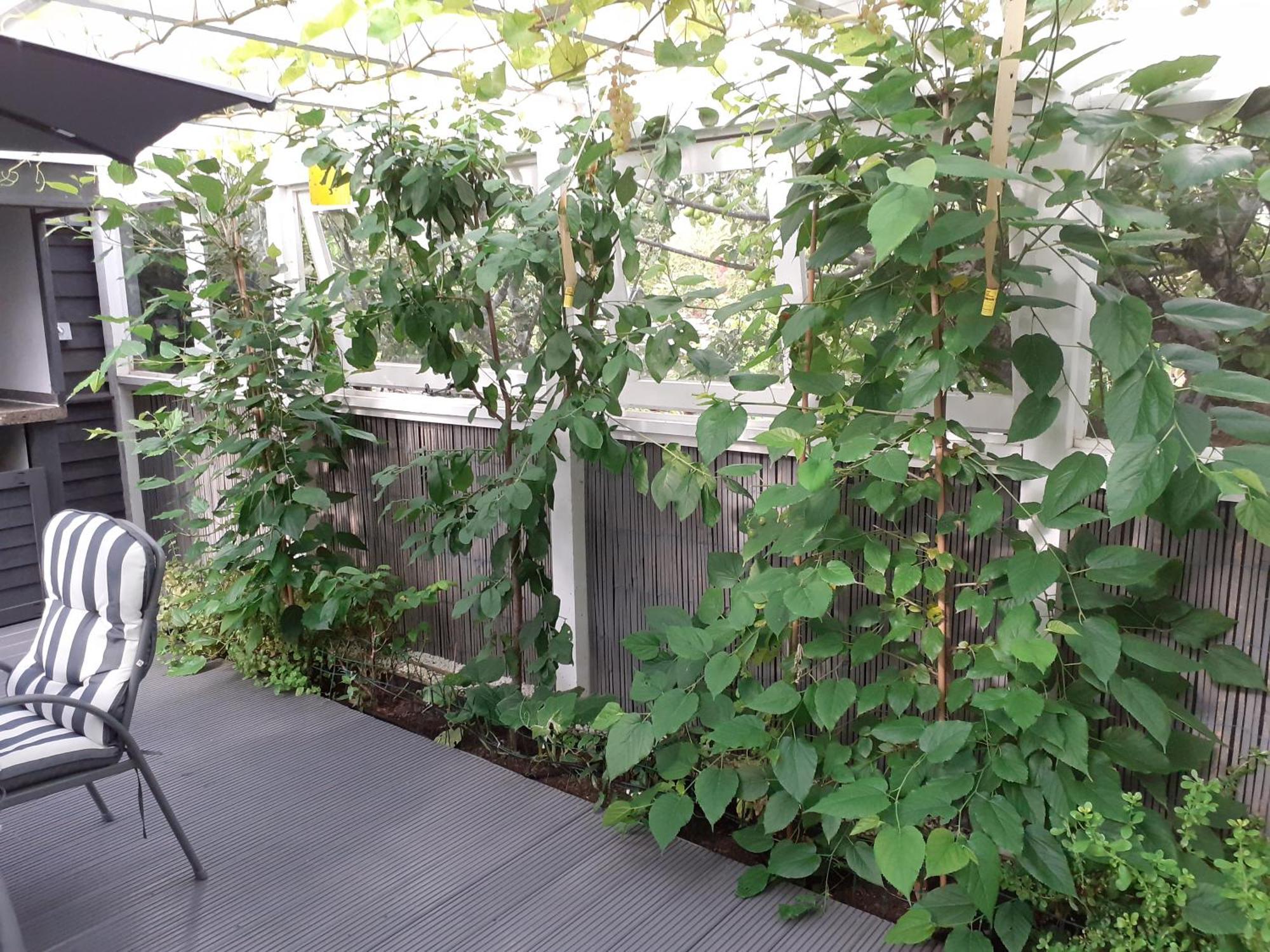 Apartament The Treehouse By Airlie Nairn Zewnętrze zdjęcie